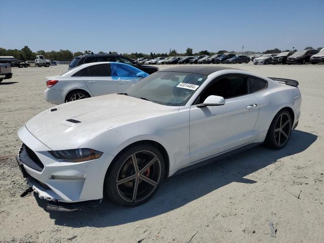 FORD MUSTANG 2019 1fa6p8th5k5197796