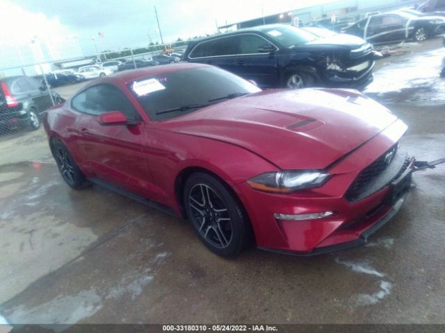 FORD MUSTANG 2019 1fa6p8th5k5203385