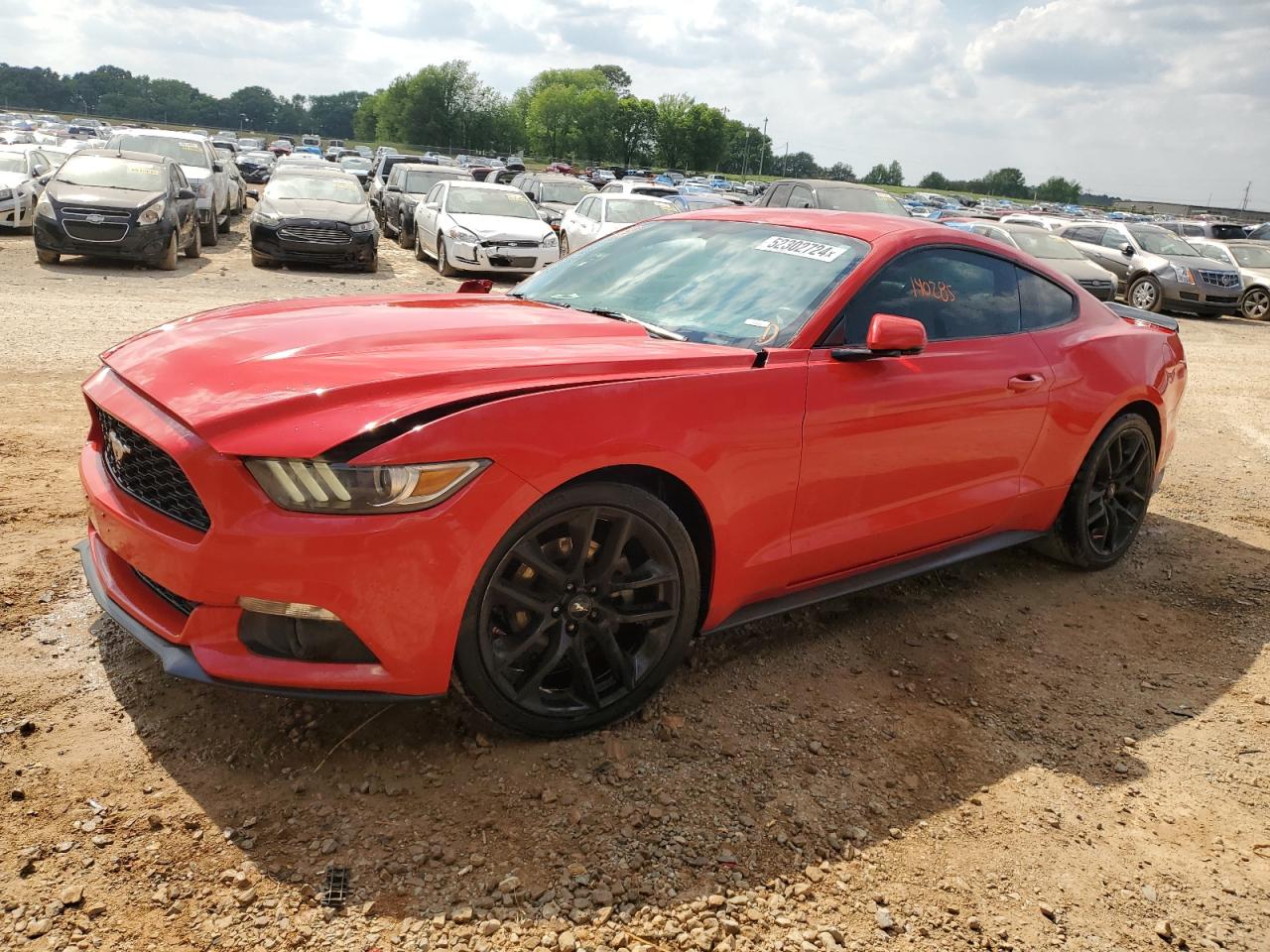 FORD MUSTANG 2015 1fa6p8th6f5353026