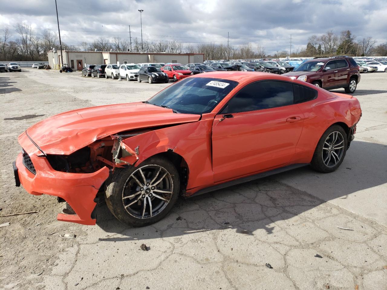 FORD MUSTANG 2016 1fa6p8th6g5304751