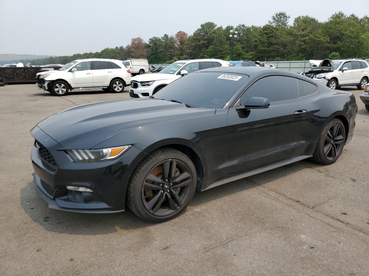 FORD MUSTANG 2016 1fa6p8th6g5335272