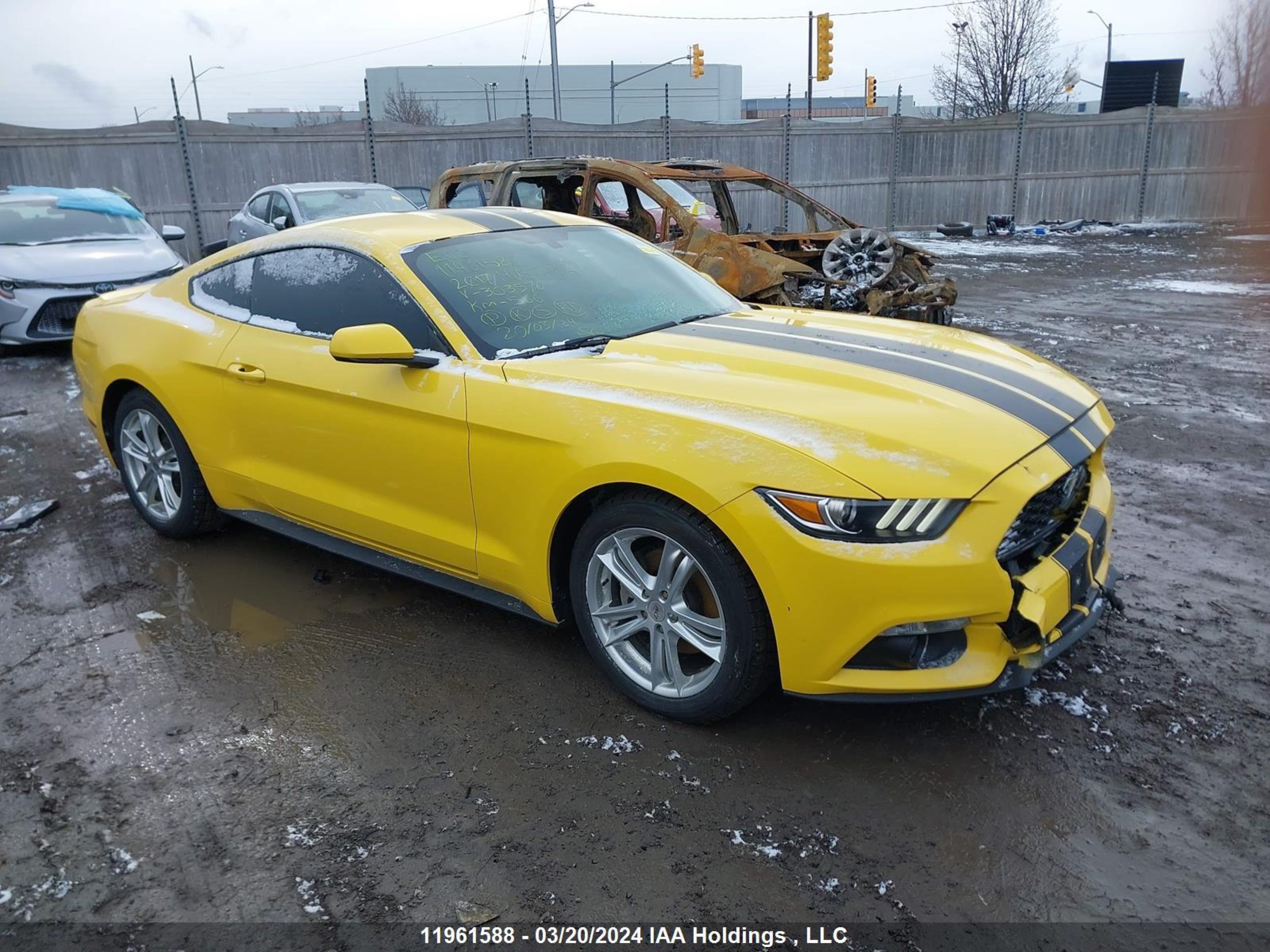 FORD MUSTANG 2017 1fa6p8th6h5303570