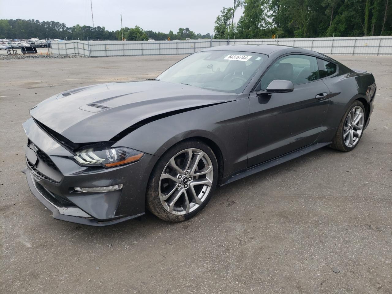 FORD MUSTANG 2019 1fa6p8th6k5102209