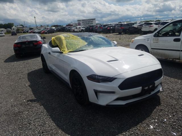 FORD MUSTANG 2019 1fa6p8th6k5105031