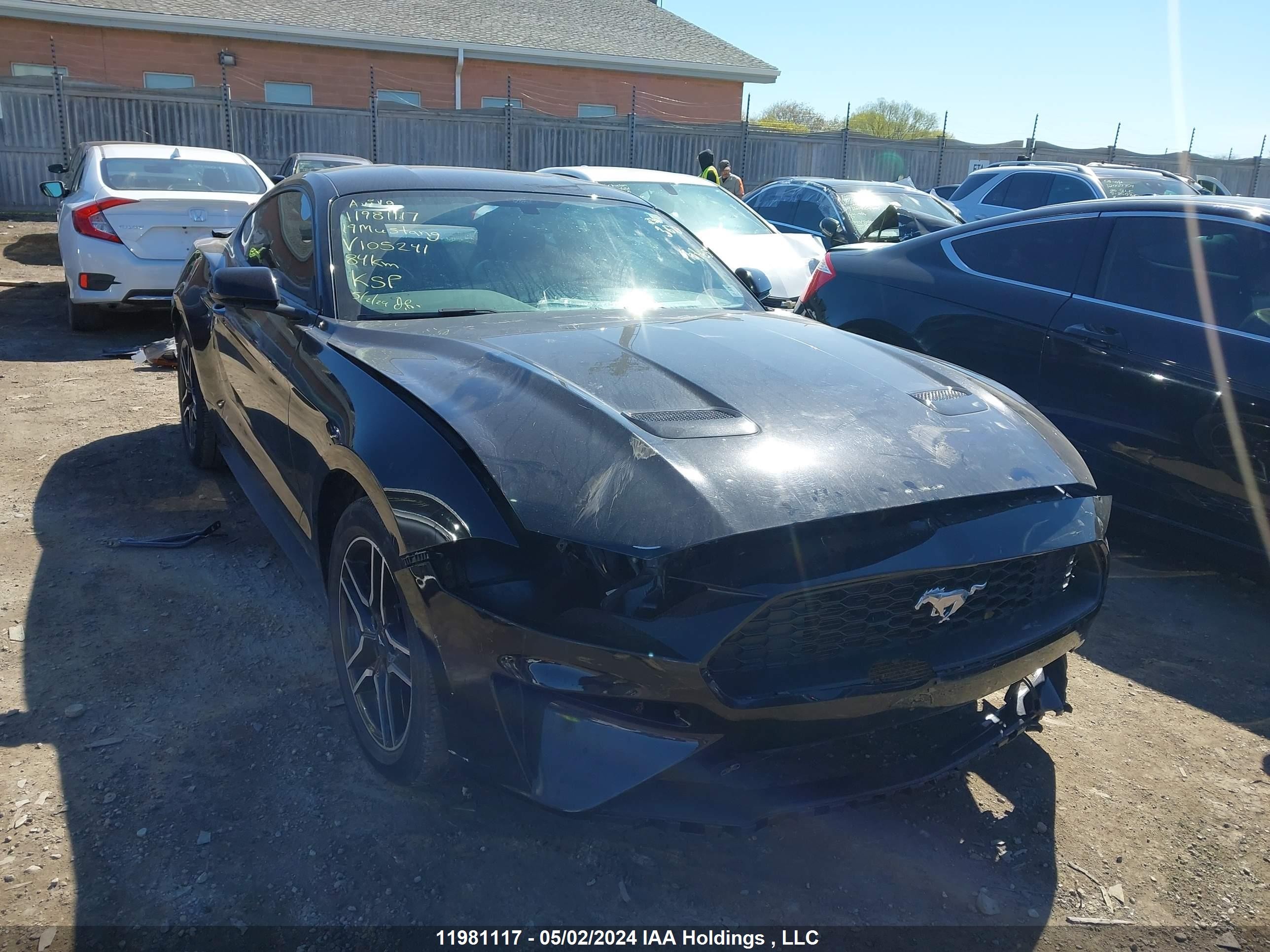 FORD MUSTANG 2019 1fa6p8th6k5105241