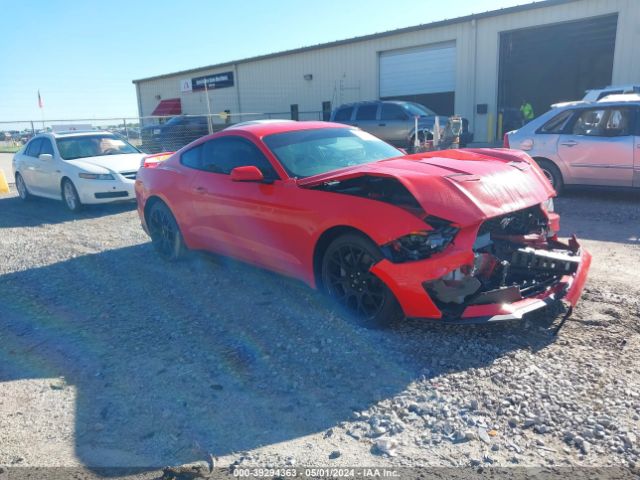 FORD MUSTANG 2019 1fa6p8th6k5105496