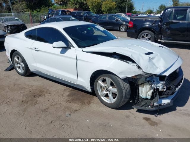 FORD MUSTANG 2019 1fa6p8th6k5124579