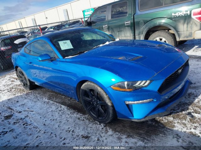 FORD MUSTANG 2019 1fa6p8th6k5133878