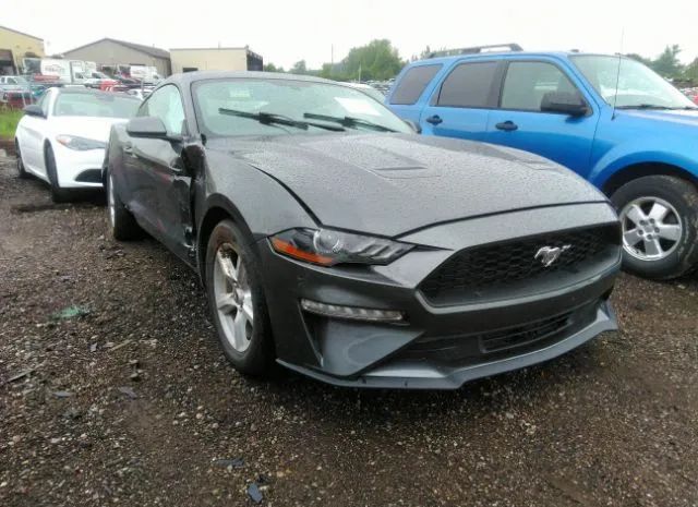 FORD MUSTANG 2019 1fa6p8th6k5168856