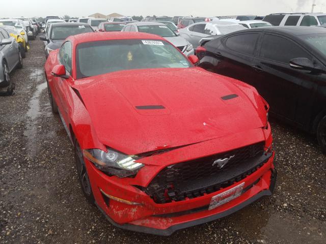 FORD MUSTANG 2019 1fa6p8th6k5172079