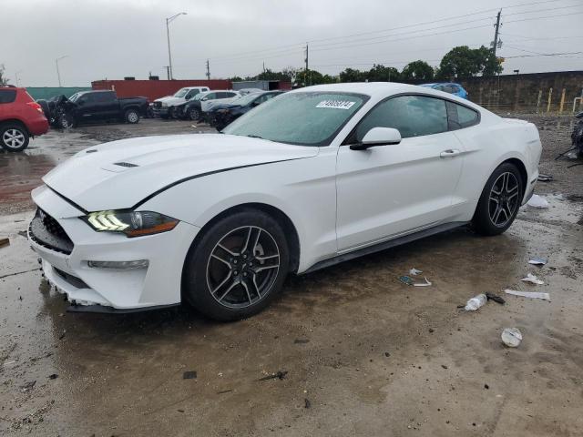 FORD MUSTANG 2019 1fa6p8th6k5180649