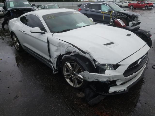 FORD MUSTANG 2019 1fa6p8th6k5204576