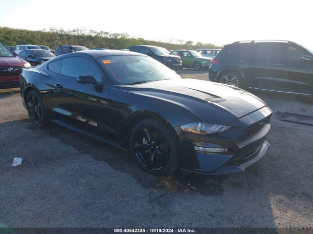 FORD MUSTANG 2021 1fa6p8th6m5102438