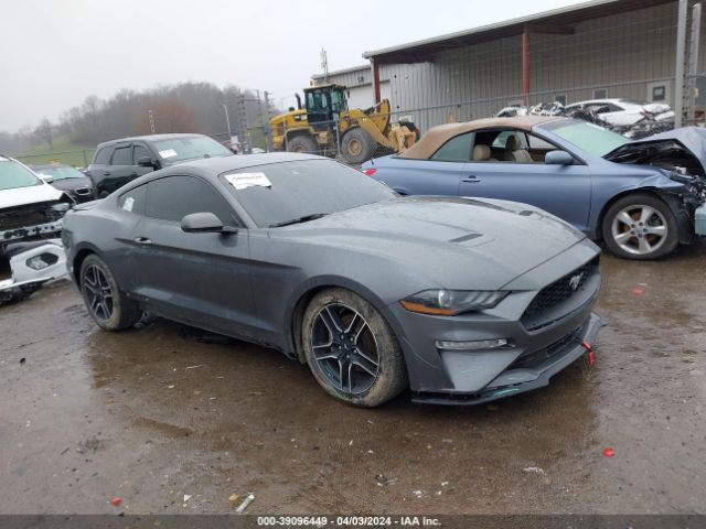 FORD MUSTANG 2021 1fa6p8th6m5114072