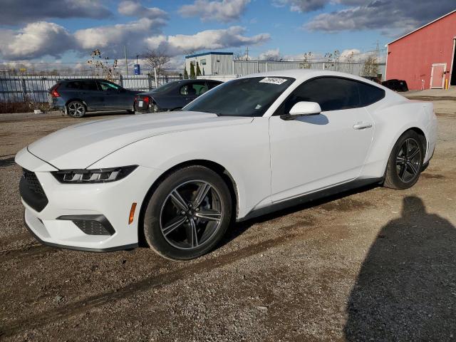 FORD MUSTANG 2024 1fa6p8th6r5106125