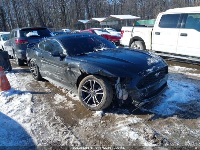 FORD MUSTANG 2017 1fa6p8th7h5282003