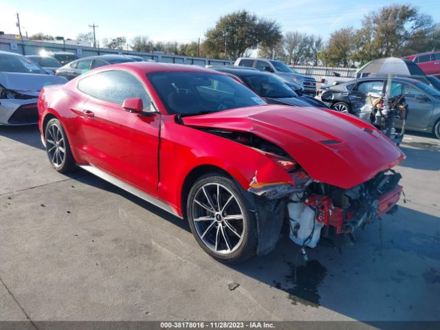 FORD MUSTANG 2019 1fa6p8th7k5135834