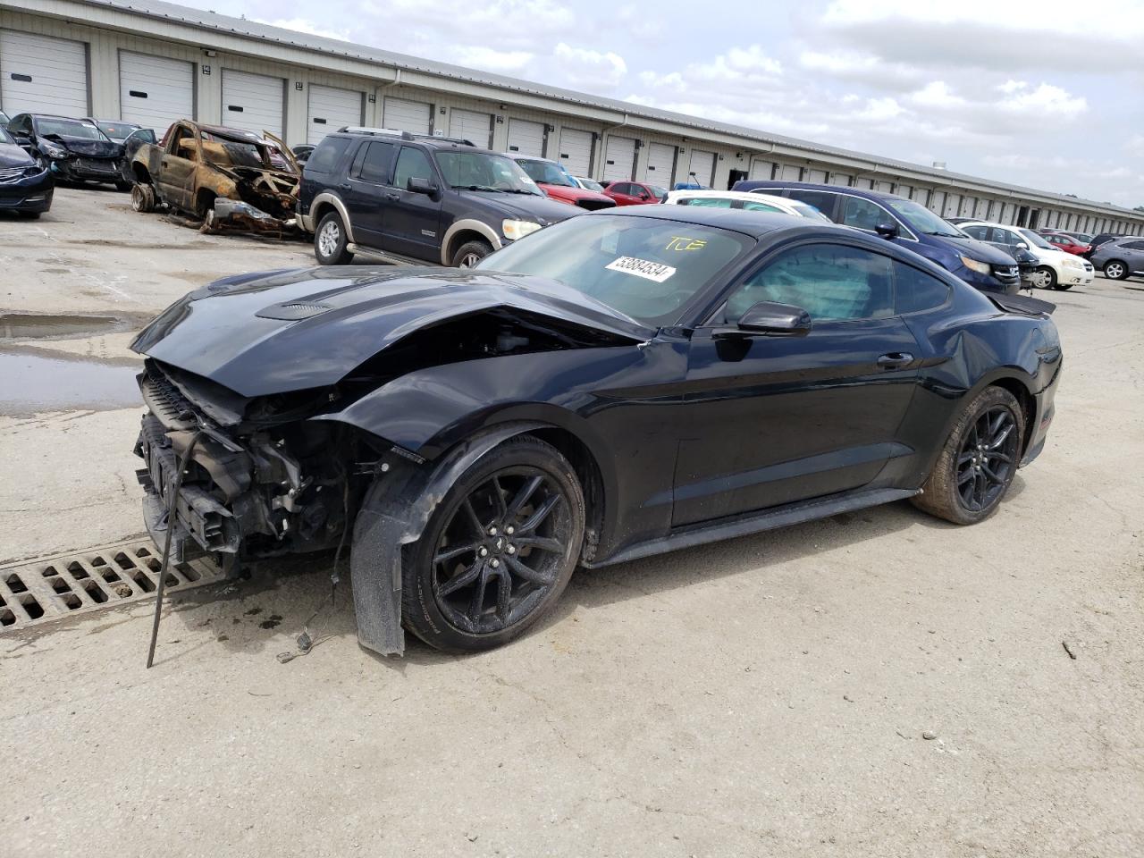 FORD MUSTANG 2019 1fa6p8th7k5169367