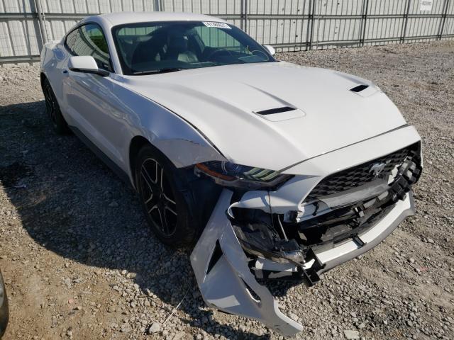 FORD MUSTANG 2019 1fa6p8th7k5172642