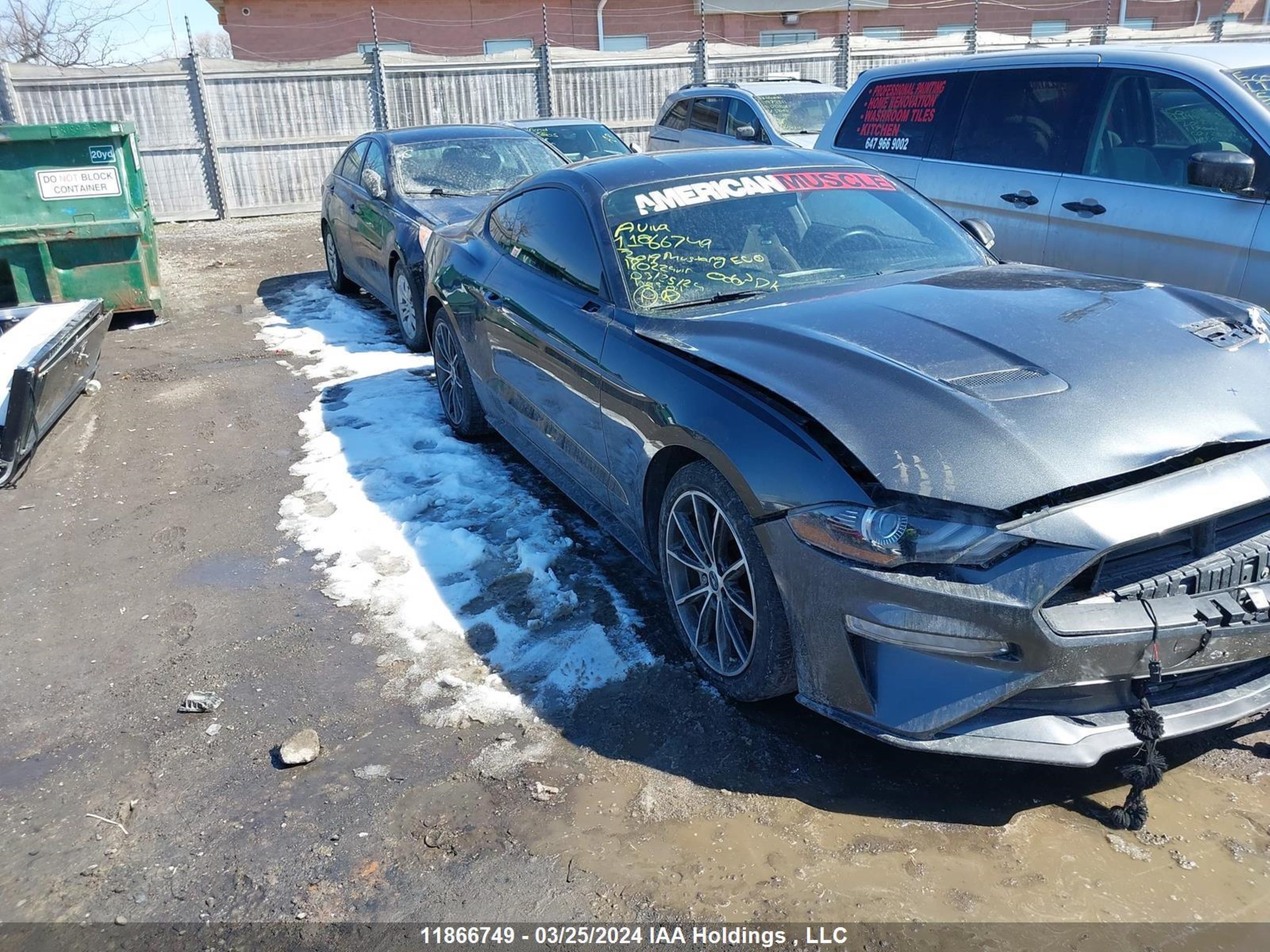 FORD MUSTANG 2019 1fa6p8th7k5180224