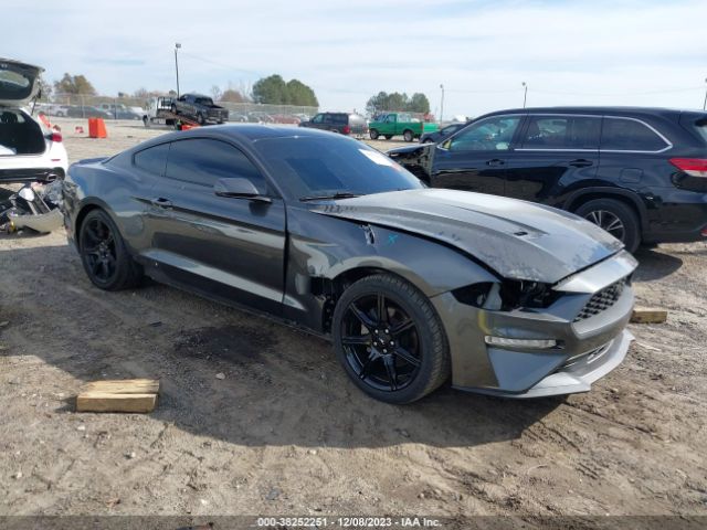 FORD MUSTANG 2019 1fa6p8th7k5184306