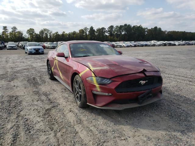 FORD MUSTANG 2019 1fa6p8th7k5203419