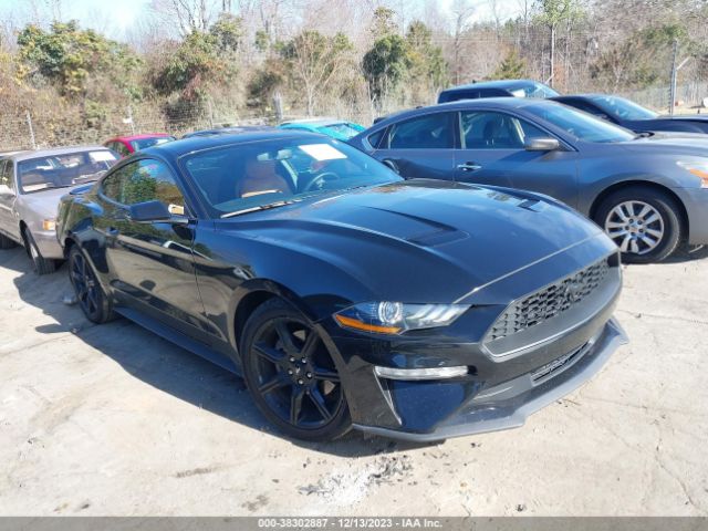 FORD MUSTANG 2019 1fa6p8th7k5203758