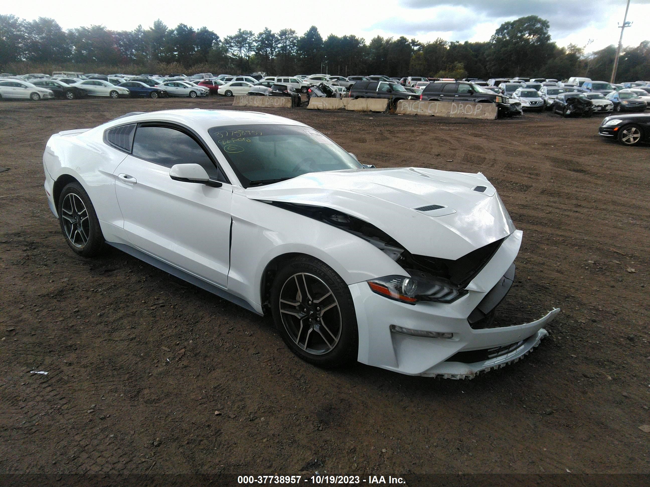 FORD MUSTANG 2020 1fa6p8th7l5137245