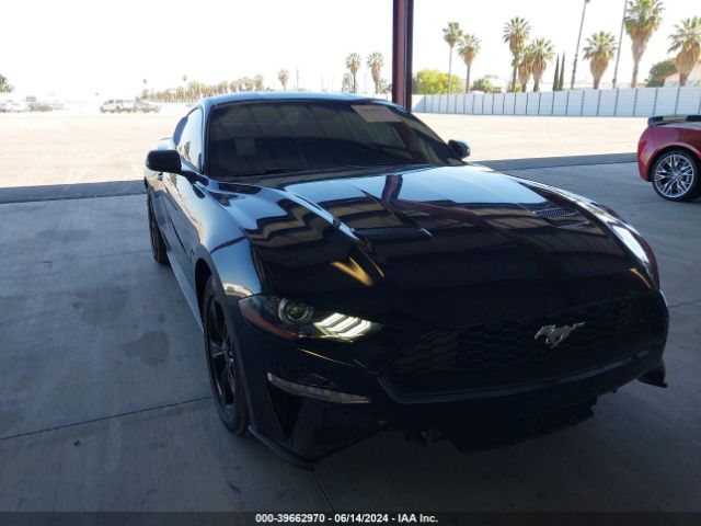 FORD MUSTANG 2023 1fa6p8th7p5113131