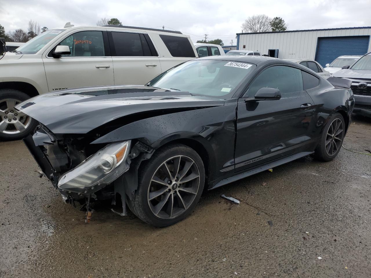 FORD MUSTANG 2015 1fa6p8th8f5362570