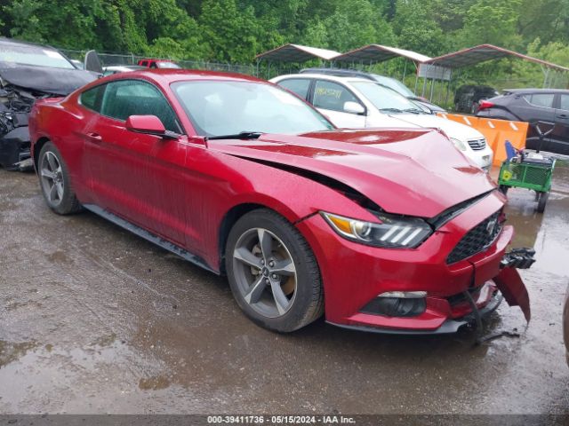 FORD MUSTANG 2017 1fa6p8th8h5301299