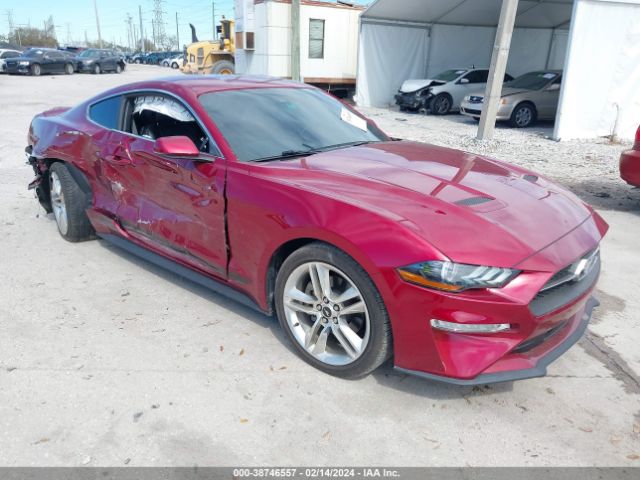 FORD MUSTANG 2019 1fa6p8th8k5105922