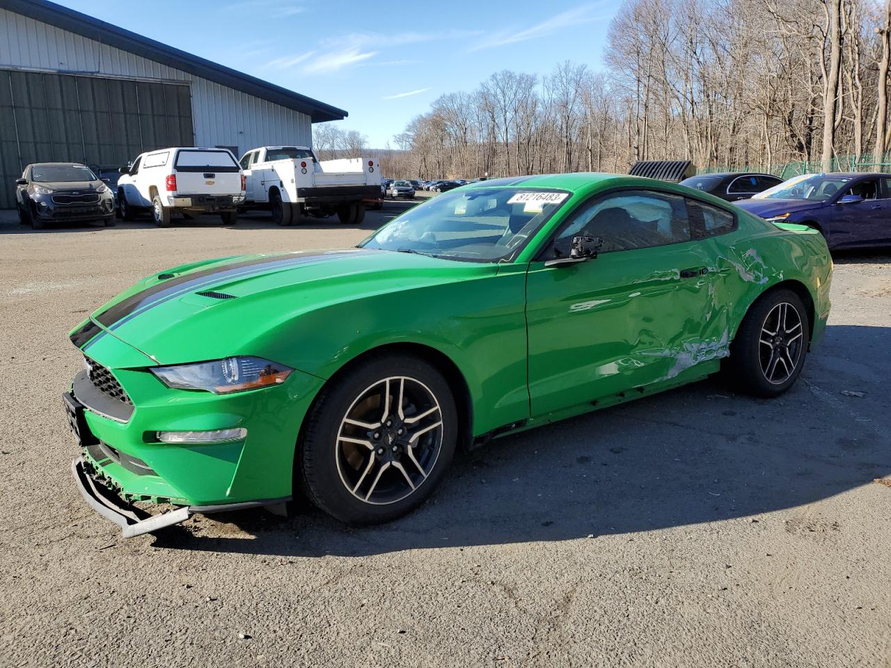 FORD MUSTANG 2019 1fa6p8th8k5121926