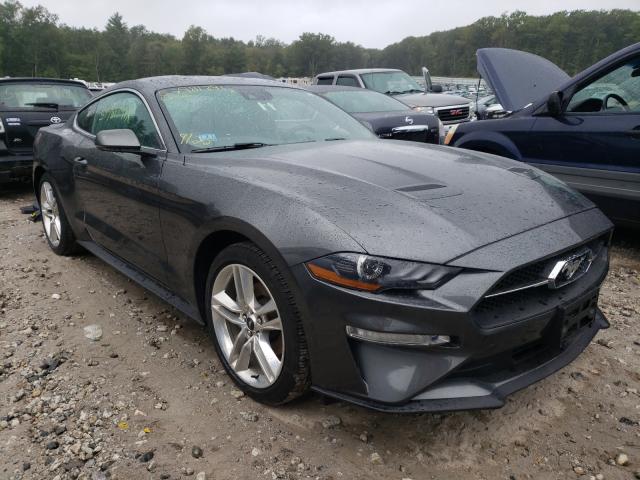 FORD MUSTANG 2019 1fa6p8th8k5124020