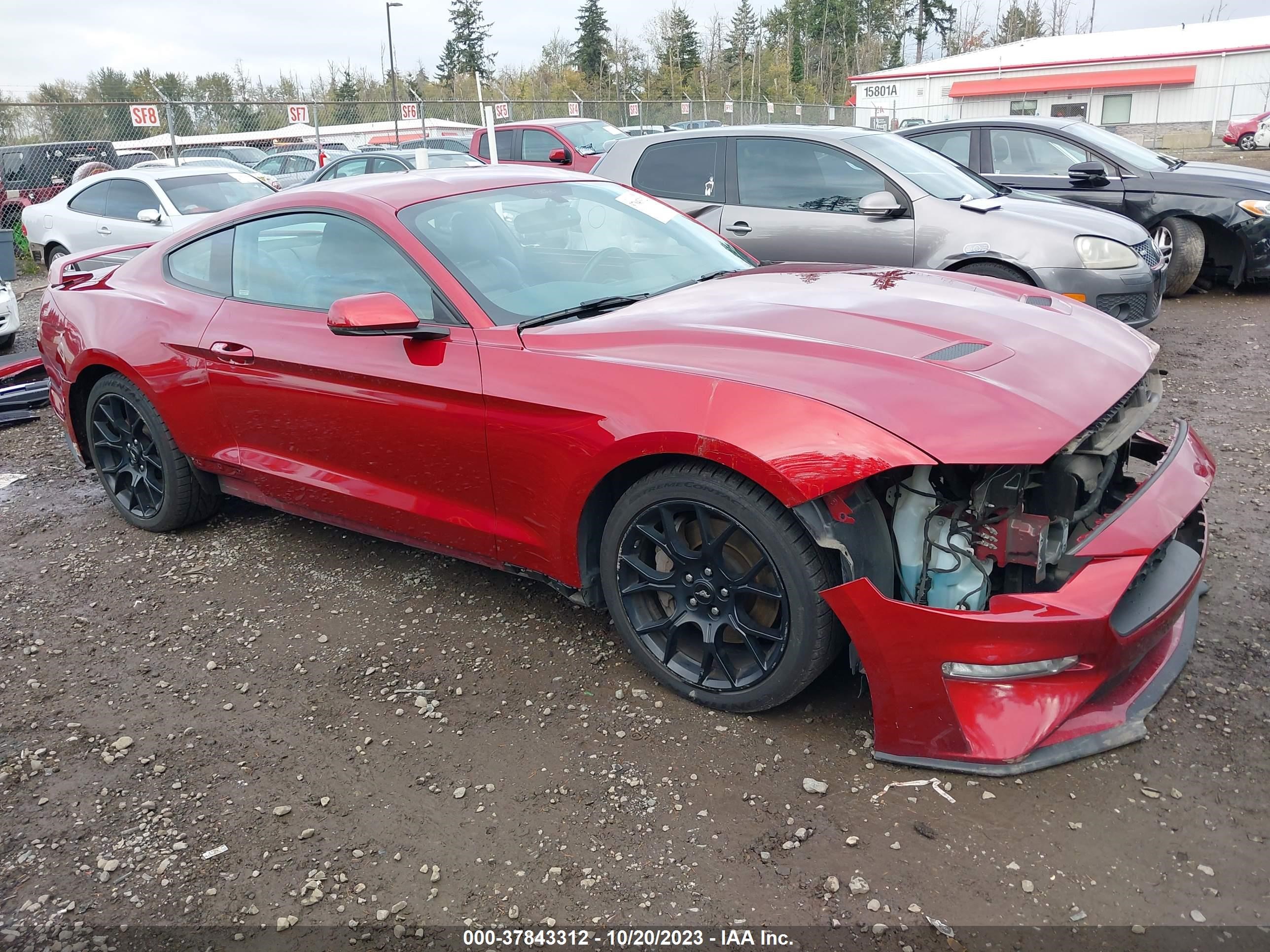 FORD MUSTANG 2019 1fa6p8th8k5131145