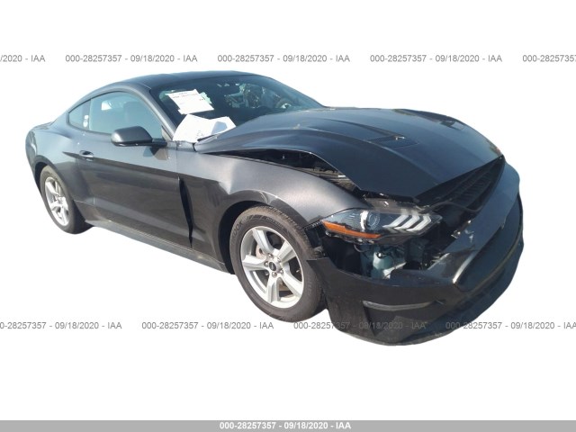 FORD MUSTANG 2019 1fa6p8th8k5133350