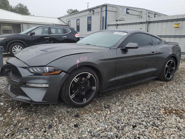 FORD MUSTANG 2019 1fa6p8th8k5142565