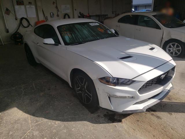 FORD MUSTANG 2019 1fa6p8th8k5159799