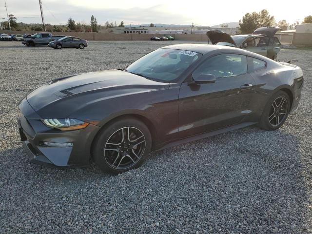 FORD MUSTANG 2019 1fa6p8th8k5161942