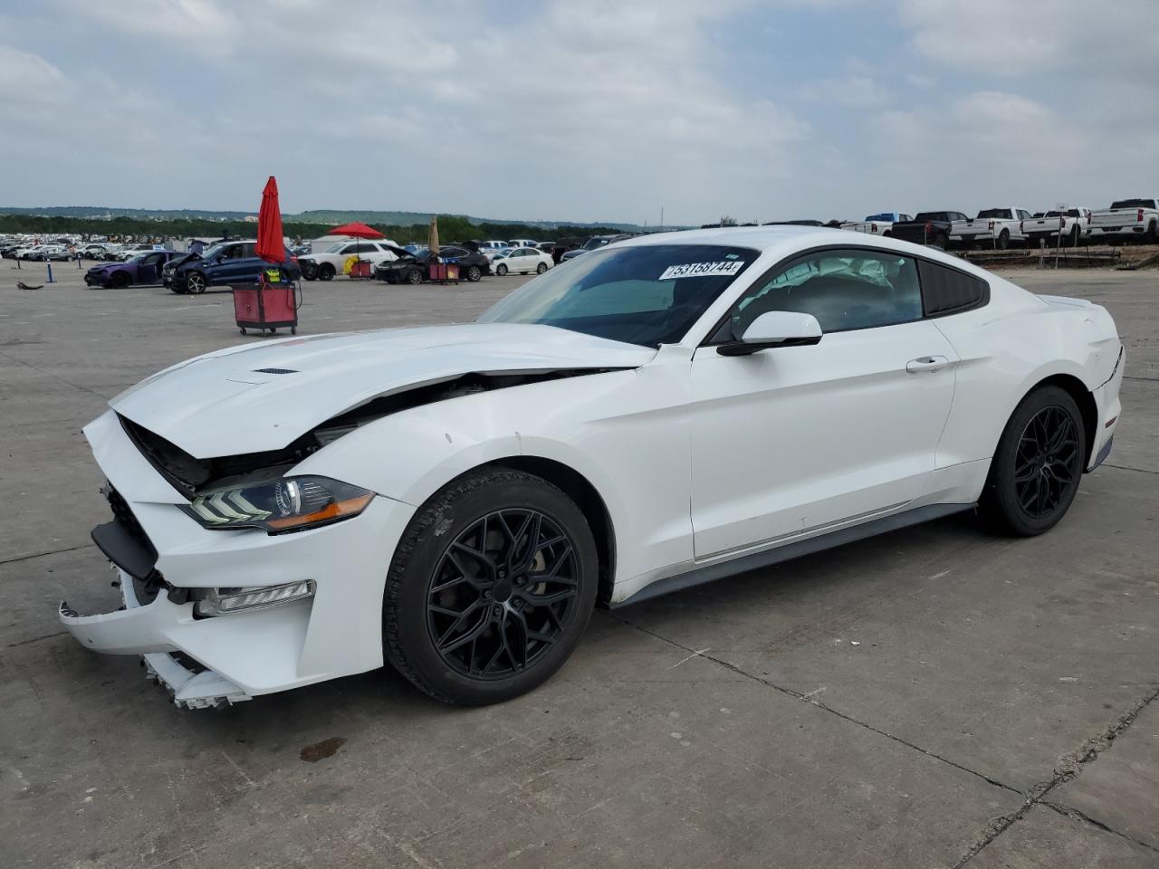 FORD MUSTANG 2019 1fa6p8th8k5172102