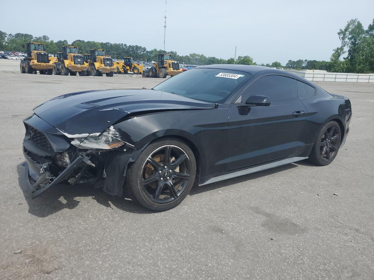 FORD MUSTANG 2019 1fa6p8th8k5173458