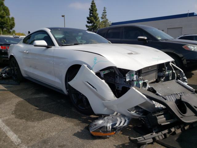 FORD MUSTANG 2019 1fa6p8th8k5175467