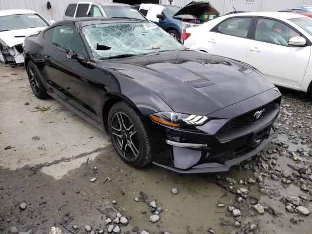 FORD MUSTANG 2019 1fa6p8th8k5190907