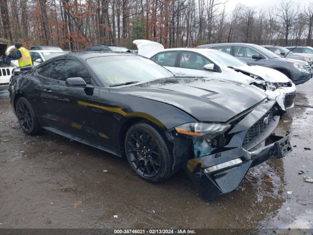 FORD MUSTANG 2019 1fa6p8th8k5195766