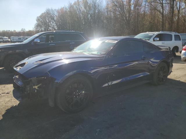 FORD MUSTANG 2019 1fa6p8th8k5198988