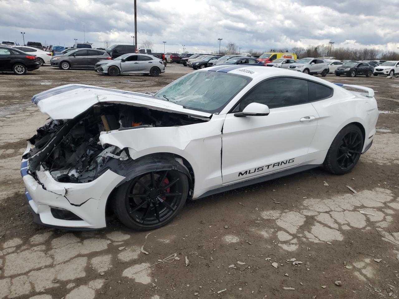 FORD MUSTANG 2016 1fa6p8th9g5245694