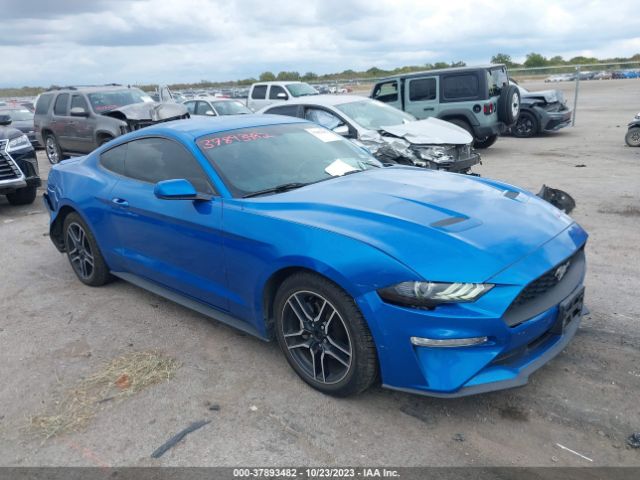 FORD MUSTANG 2019 1fa6p8th9k5123104