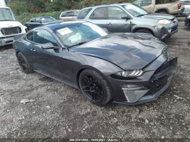 FORD MUSTANG 2019 1fa6p8th9k5124897