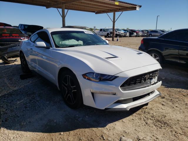 FORD MUSTANG 2019 1fa6p8th9k5130442