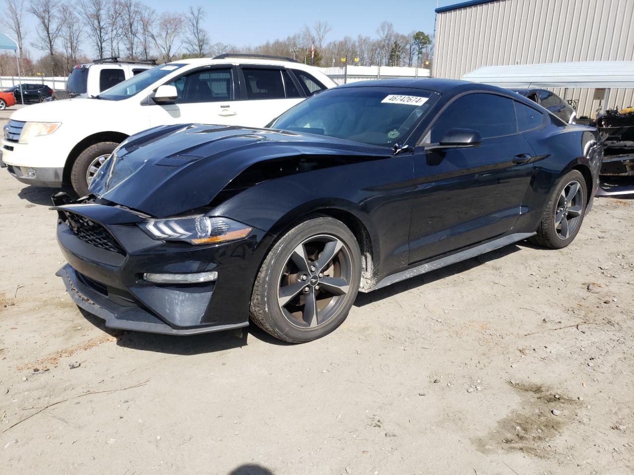 FORD MUSTANG 2019 1fa6p8th9k5163571